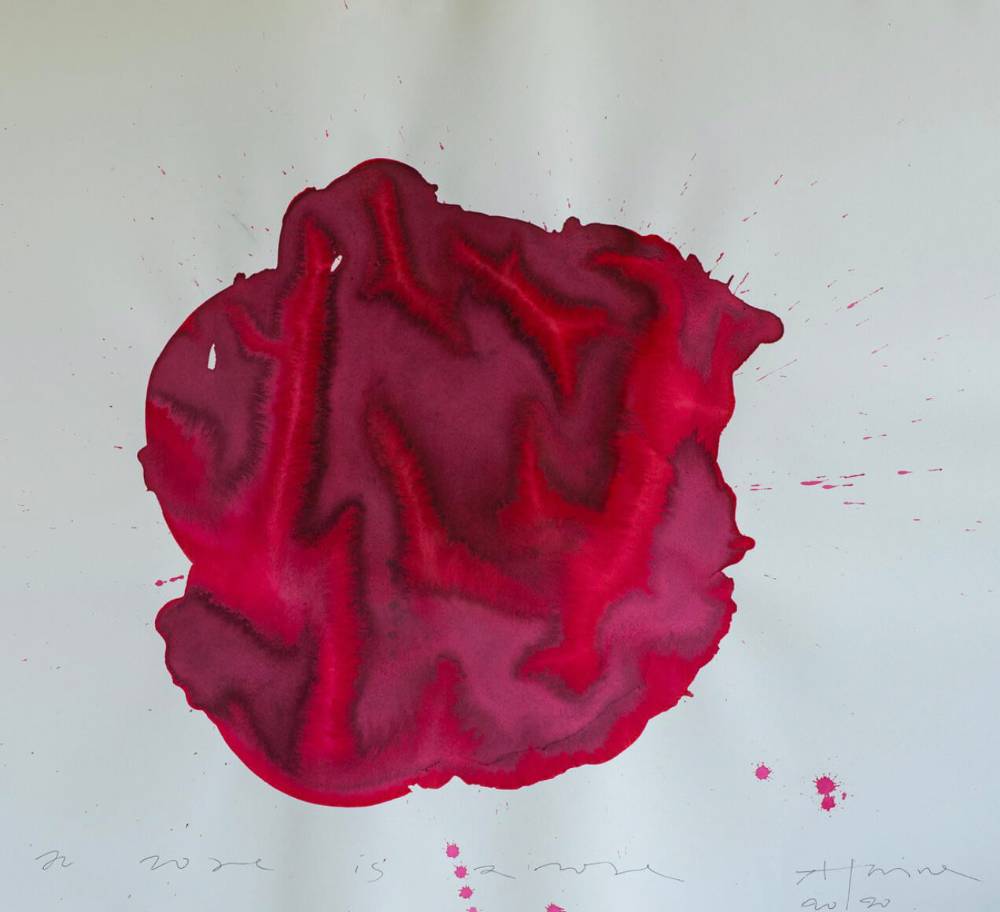 Image depicting the artwork named As a Rose is a Rose is a Rose